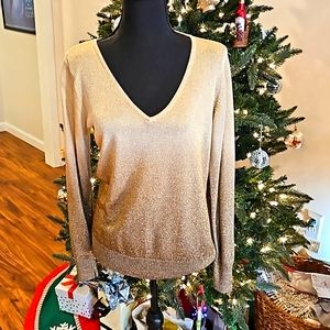 Long Sleeve Chicos Top Size 1 (8 / 10 )